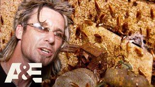 Top 3 HORRIFYING Roach Infestations (Part 2) | Billy the Exterminator | A&E