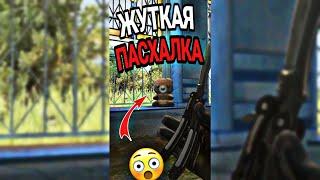 САМАЯ ЖУТКАЯ ПАСХСЛКА в CS:GO  !