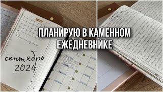 ВЕДУ КАМЕННЫЙ ЕЖЕДНЕВНИК | Планирование в декрете | сентябрь 24