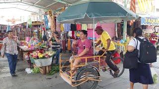 Caminando por ciudad altamirano guerrero, tierra caliente