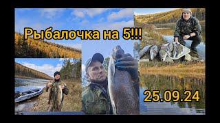 Хороша рыбалочка !!! Усть-Кут. Сибирь!!! #рыбалка #река #ленки #сибирь #природа