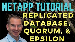 NetApp RDB Replicated Database, Quorum, and Epsilon