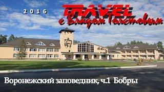 Воронежский заповедник (ч.1 Бобры) - Travel с Владом Толстовым