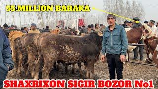 SHAXRIXON MOL BOZORI SIGIR NARXLARI BILAN TANISHING BOZOR VOY DOD 11.03.2025