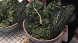 LIVE Green Juice- 101 (for Detox or Cleansing)