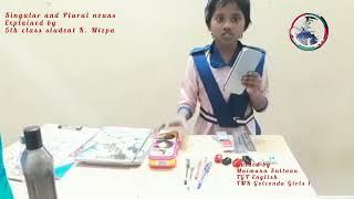 Singular and Plural nouns | 5th class K. Mizpa