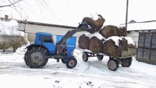 мтз80 с куном на цепях зимой