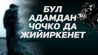 Расул медиа: Бул адамдан чочко да жийиркенет