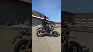 2023 Honda MONKEY Sound Test!!! / What Do YOU Ride?!? / MAX'S MOTO SHOP