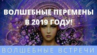 Дарья Ким. Волшебные перемены в 2019 году !