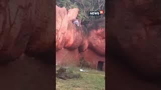 Lion Video | #Trending | Hyderabad: 31-year Old Walking Dangerously Close To African Lion| #Shorts