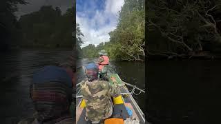 Fly fishing for brown trout in Patagonia Chile. #patagoniachile #chile #browntrout #flyfishing #fyp