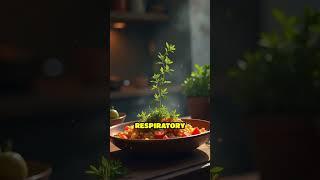 Greek Herbs: Ancient Remedies, Modern Healing