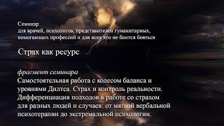 Самостоятельная работа с «колесом баланса» и уровнями Дилтса. Экстремальная психология