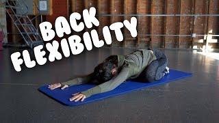 Back Flexibility Stretches I Daily Exercises with @trainwithkendall