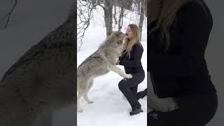 GIRL HOWLS WITH GIANT WOLVES