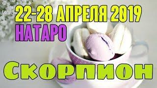 СКОРПИОН - таро прогноз 22-28 апреля 2019 года НАТАРО.