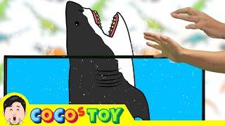 Raising Great white sharks at home｜great white shark song, whales & sharks cartoon｜CoCosToy