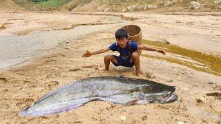 Techniques for cooking wild vegetables and peanut salad, catching giant catfish stranded in the lake