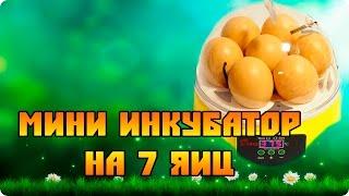 Обзор китайского инкубатора для яиц Мини-7 (Mini 7)