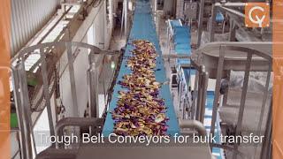 Candy Conveyance & Distribution Systems | Cybernetik Chocolate Automation