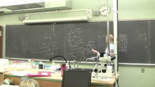 Kevin Ahern's Biochemistry - Review Session for Final Exam