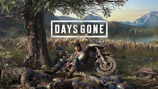 Days Gone  Мод - вид от первого лица   Мod - first-person view  