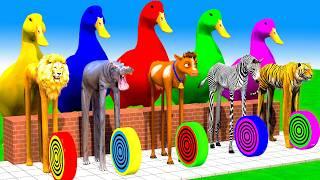 Long Slide Game With Elephant cow Buffalo Hippopotamus Tiger - 3d Animal Game - Funny 3d Animals