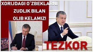 PREZIDENT: ROSSIYA VA DUBAYDAN YURTDOSHLARIMIZNI QAYTARAMIZ! #human human хуман yangiliklar