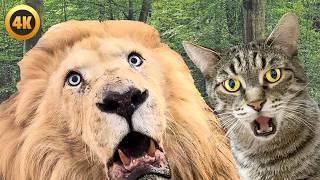 Super Funny Animal Moments  | Hilarious And CUTE Pet Videos