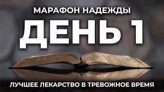 Ничто не сможет отлучить нас от любви. Марафон надежды. День 1