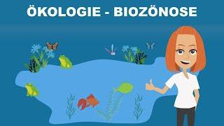 Biozönose - das Ökosystem einfach erklärt | Studyflix