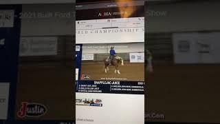 AQHA Youth World Snaps