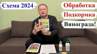 Схема ОБРАБОТКИ и ПОДКОРМКИ Винограда! СЕЗОН 2024