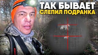 Охота на лося с подхода с Arkon Arma HR35L | Ночной добор подранка | Честно об охоте