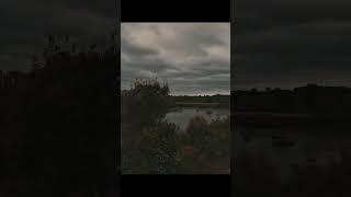 CineShort - The pond won't remember you