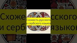 Схожесть русского и сербского языков