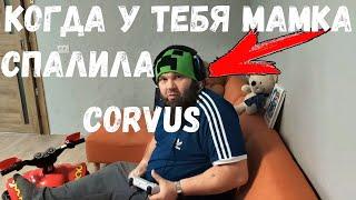 Это такие поды у Corvus? Вся правда о бренде Корвус!