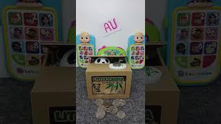 Amazing! Panda saving money bank