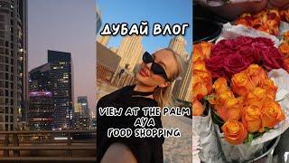 VLOG: Дубай, emirates подарили чемодан, aya, view at the palm, путешествие в Азию через Дубай