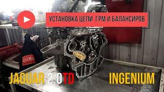 Jaguar 2.0TD установка цепей и балансиров