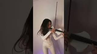  Районы Кварталы (violin cover by MILKA) талы#районыкварталы #звери #скрипка