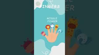 Finger names in English #shortsvideo #shortsyoutube #fledu