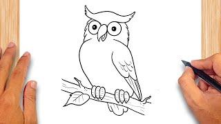 How to draw Cartoon Owl