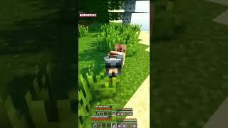 Спасают пса от паразитов #майнкрафт #minecraft