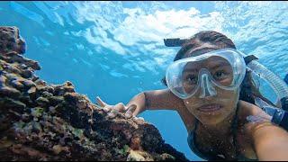 FREEDIVING China Walls | Cinematic Footage | Oahu, Hawaii