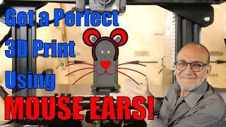 Mouse Ears To Prevent Warped 3D Prints