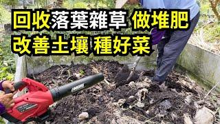 回收落葉雜草做堆肥，6步驟改善土壤種好菜，用電動吹葉機收集落葉輕巧又省力 | 阿星種植