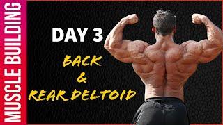 Muscle Building Workout Series - Day 3 | Back & Rear Delt | Yatinder Singh