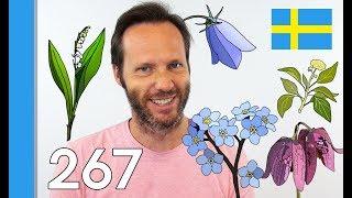 Learn Sweden's State flowers - 10 Swedish Words #267